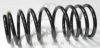 DACIA 6001539020 Coil Spring